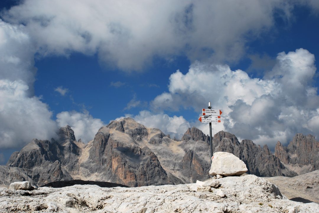 Parco naturale Paneveggio - Pale di San Martino — photo from their website